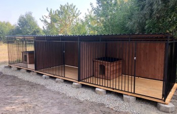 Fot.: Kinga Ostrowska