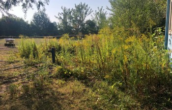 Fot.: Kinga Ostrowska