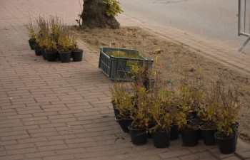 Fot.: Joanna Brzyska