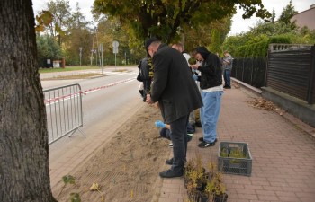 Fot.: Joanna Brzyska