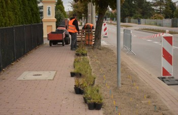 Fot.: Joanna Brzyska