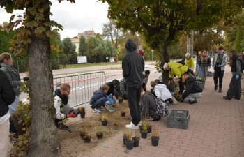 Fot.: Joanna Brzyska