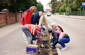 Fot.: Anna Małoszewska