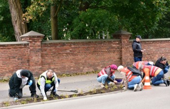 Fot.: Anna Małoszewska