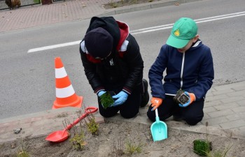 Fot.: Anna Małoszewska