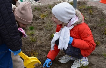 Fot.: Anna Małoszewska