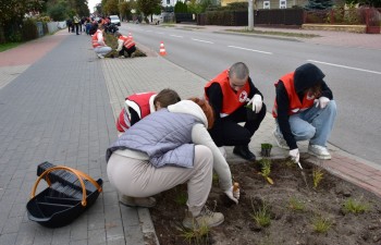 Fot.: Anna Małoszewska