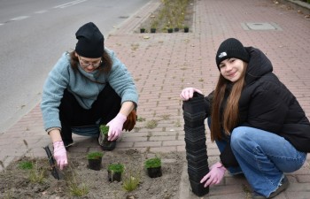 Fot.: Anna Małoszewska