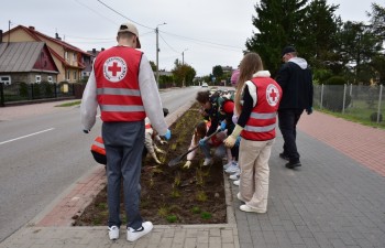 Fot.: Anna Małoszewska
