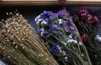 Fot.: Radzyński Ośrodek Kultury