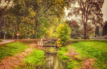 Miejsce 3: Danuta Wójcik - Piękno