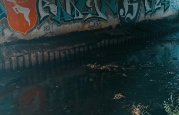 Jarosław Kwasek - Zimą czy latem