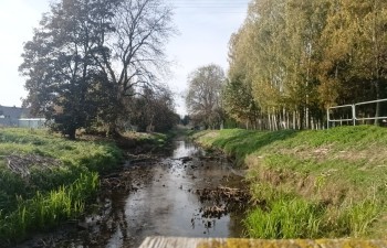 Marek Zdziebłowski - Spokój i dynamika