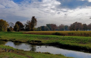Sylwester Szydłowski - Jesienią pomalowany