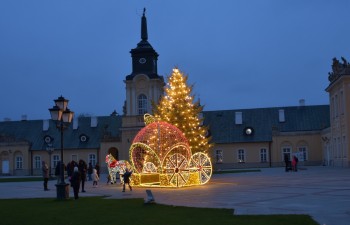 Fot.: Joanna Brzyska