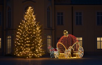 Fot.: Joanna Brzyska