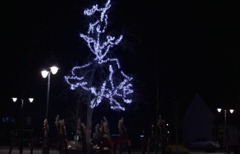 Fot.: Joanna Brzyska