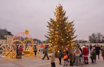 Fot.: Joanna Brzyska